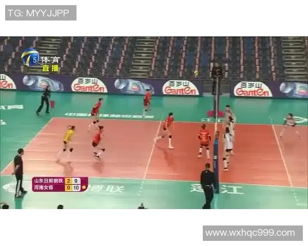 从零起步打造强大排球团队协作技巧全解析与实战经验分享