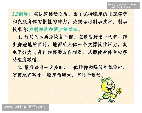 南京排球队控制打法深度分析与战术解读