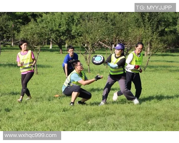 飞盘运动护具选购指南及推荐装备一览