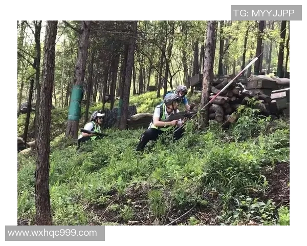 北京排球队阵地战解析：战术布局与团队协作的深度剖析