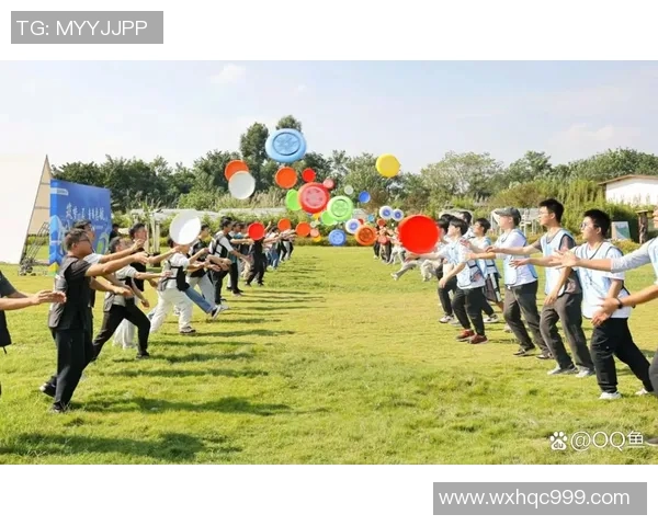 上海飞盘队如何通过阵地战革新提升竞技水平与团队协作能力