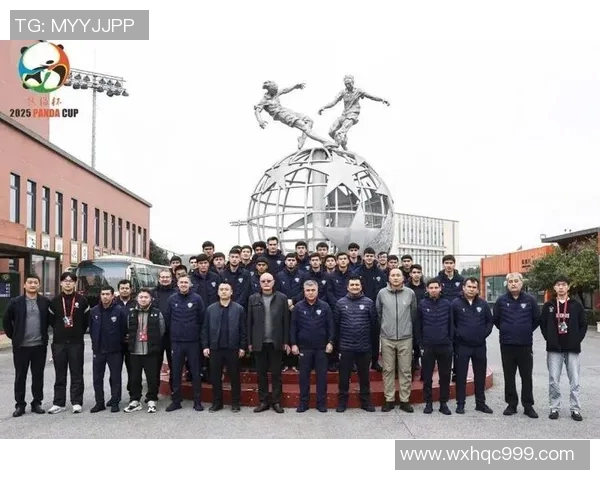 成都足球队在洲际杯中的节奏表现分析与点评