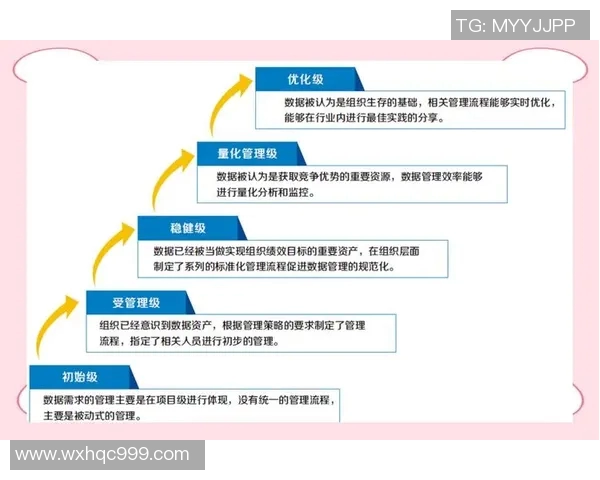 数据分析视角下LNG个人能力表现的全面评估与提升策略探讨