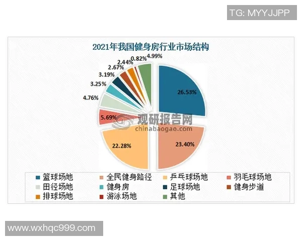 深入剖析北京足球队战术表现的关键数据与趋势分析