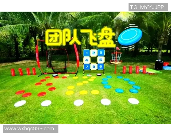 飞盘热潮席卷北京飞盘队协作创新引发热议 飞盘热潮席卷北京飞盘队协作创新引发热议